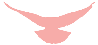 1696934843858055